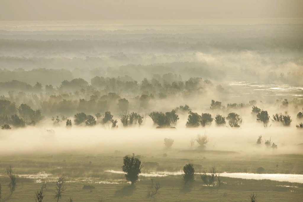 baranja aerial 0001