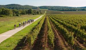 MTB Parenzana: Biggest Bike Event in Istria to Take Place This Weekend