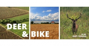 Deer &amp; Bike in Baranja Next Weekend!