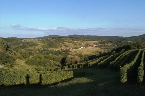 Cycling across Borders of Hungary and Croatia: The Greenway Cycling Route