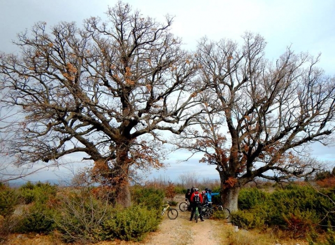 Croatian Bike Routes: Kreševo to Katuni in Omiš Hinterland