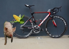 Bahrain Merida Hvar Interview Bricolage - Pigs Dream of Corn Cobs Don't They?