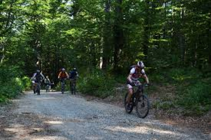 Gorski Kotar Bike Tour 2016