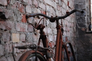 All Generations Participate in Oldtimer Bicycle Race in Golden Valley of Požega