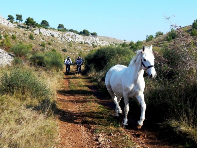 Croatian Bike Routes: Žaborić near Šibenik