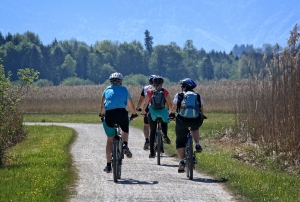 South on Two Wheels: the Šišan Section Goes Off Road