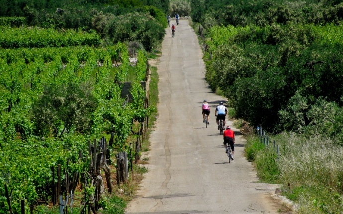 Islands to Cycle: Korčula