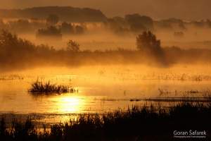 The Wine Route of Baranja for Cyclists and Explorers