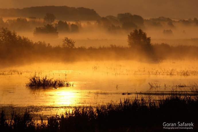 The Wine Route of Baranja for Cyclists and Explorers